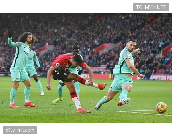 南安普顿王朝再续辉煌，重返英超巅峰状态持续提升